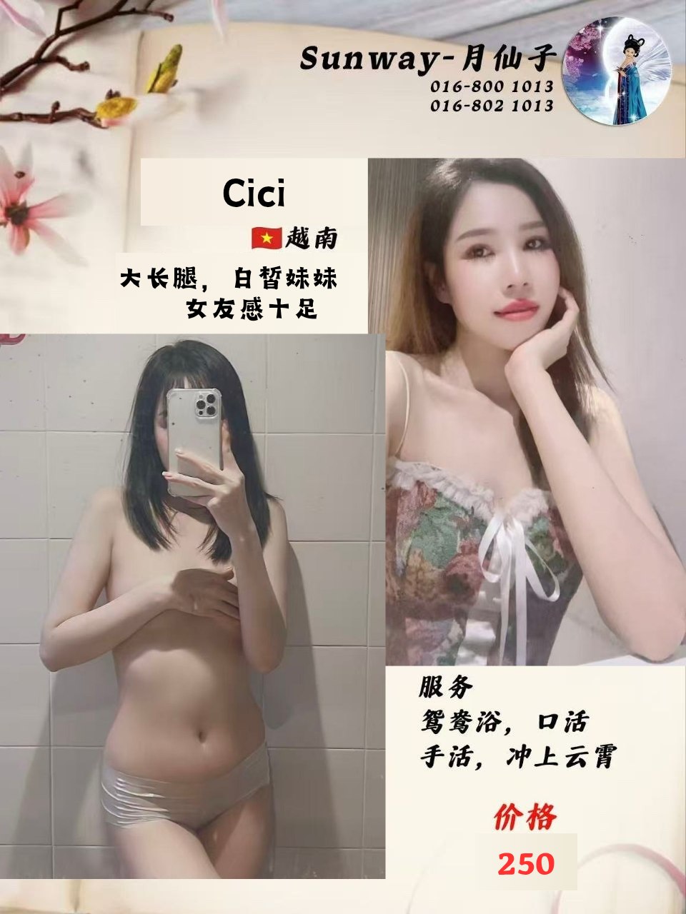 Cici