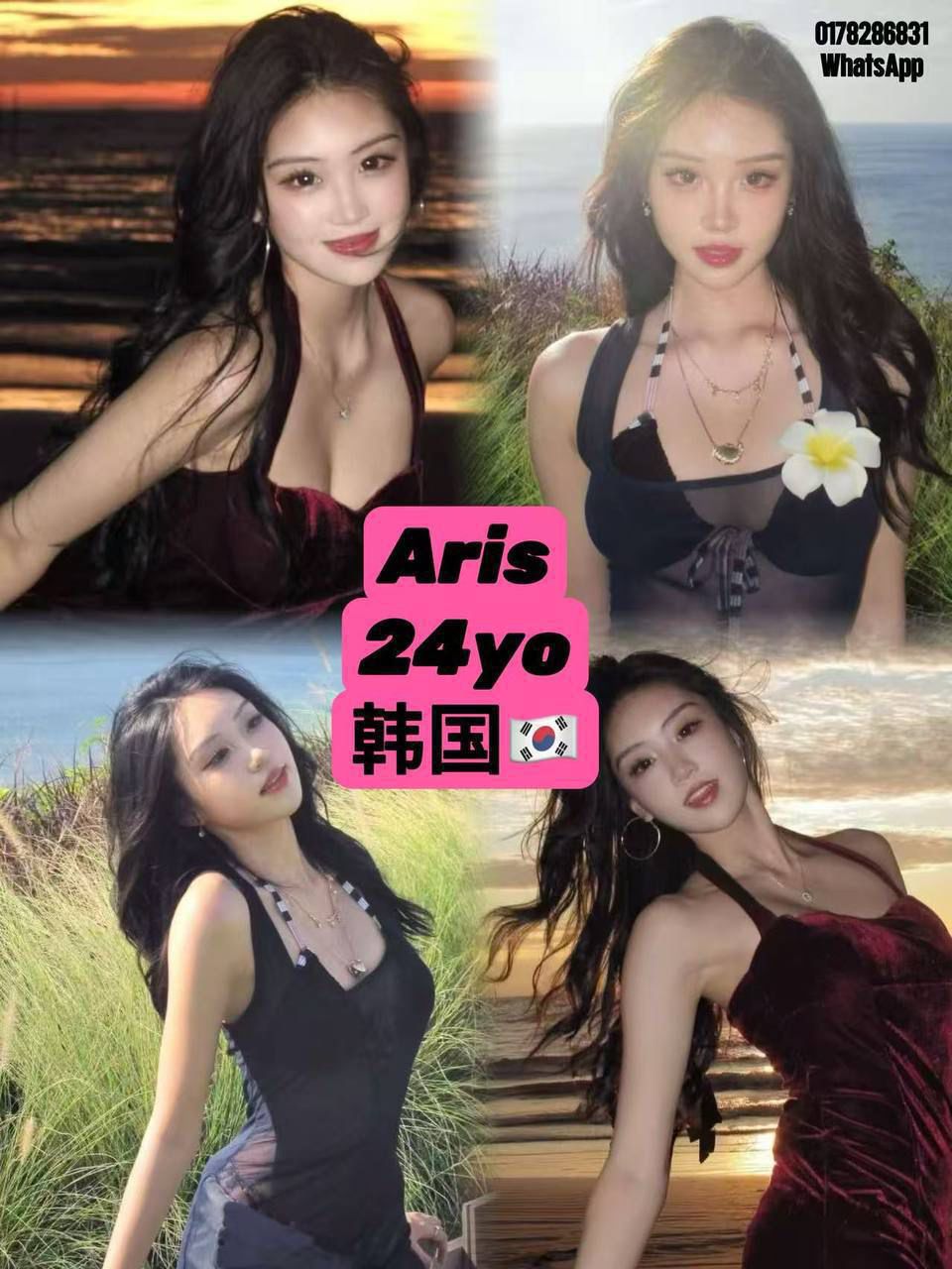 Aris