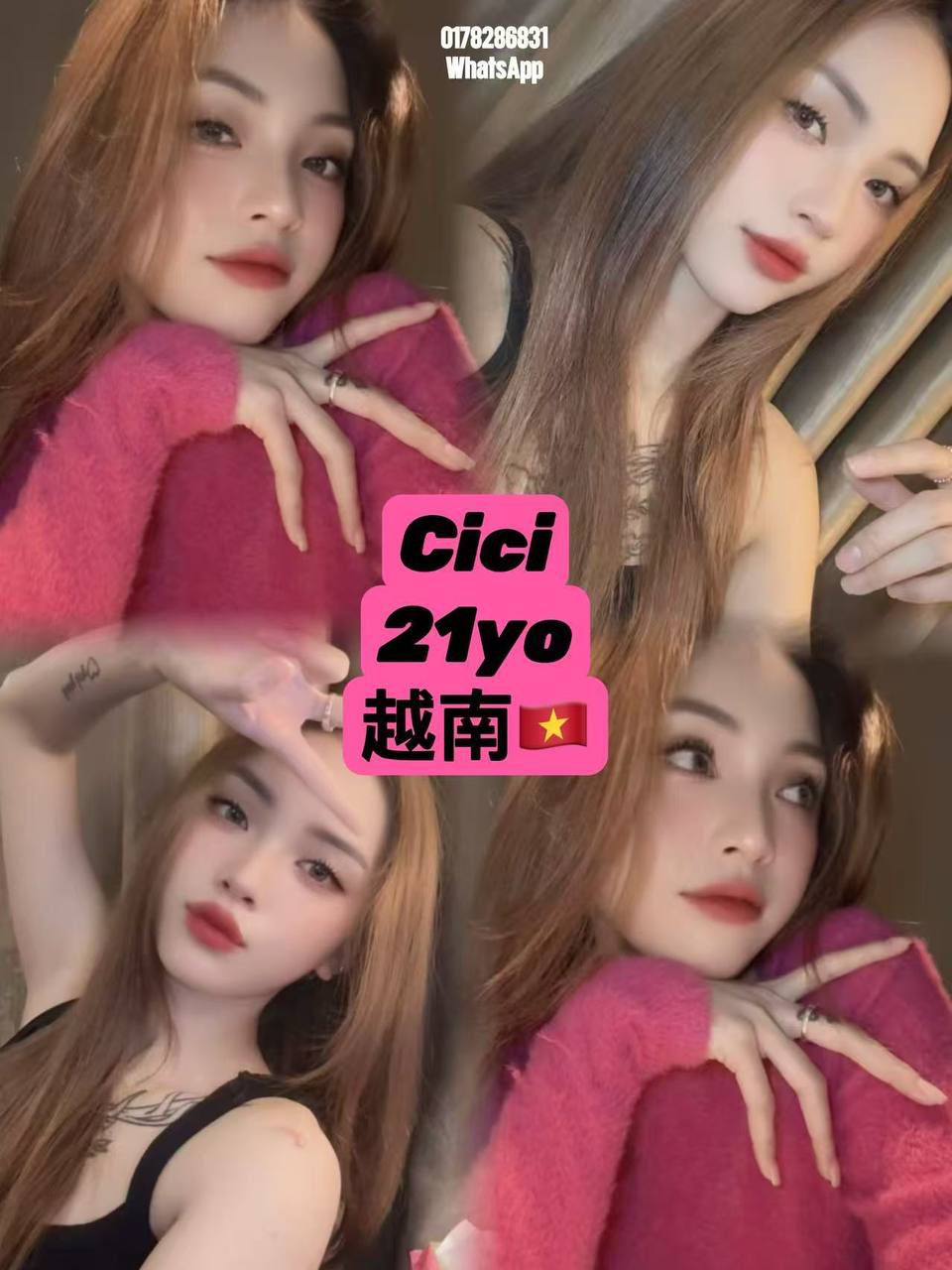 Cici
