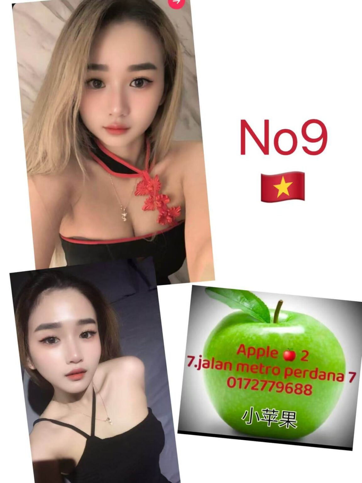 No 09