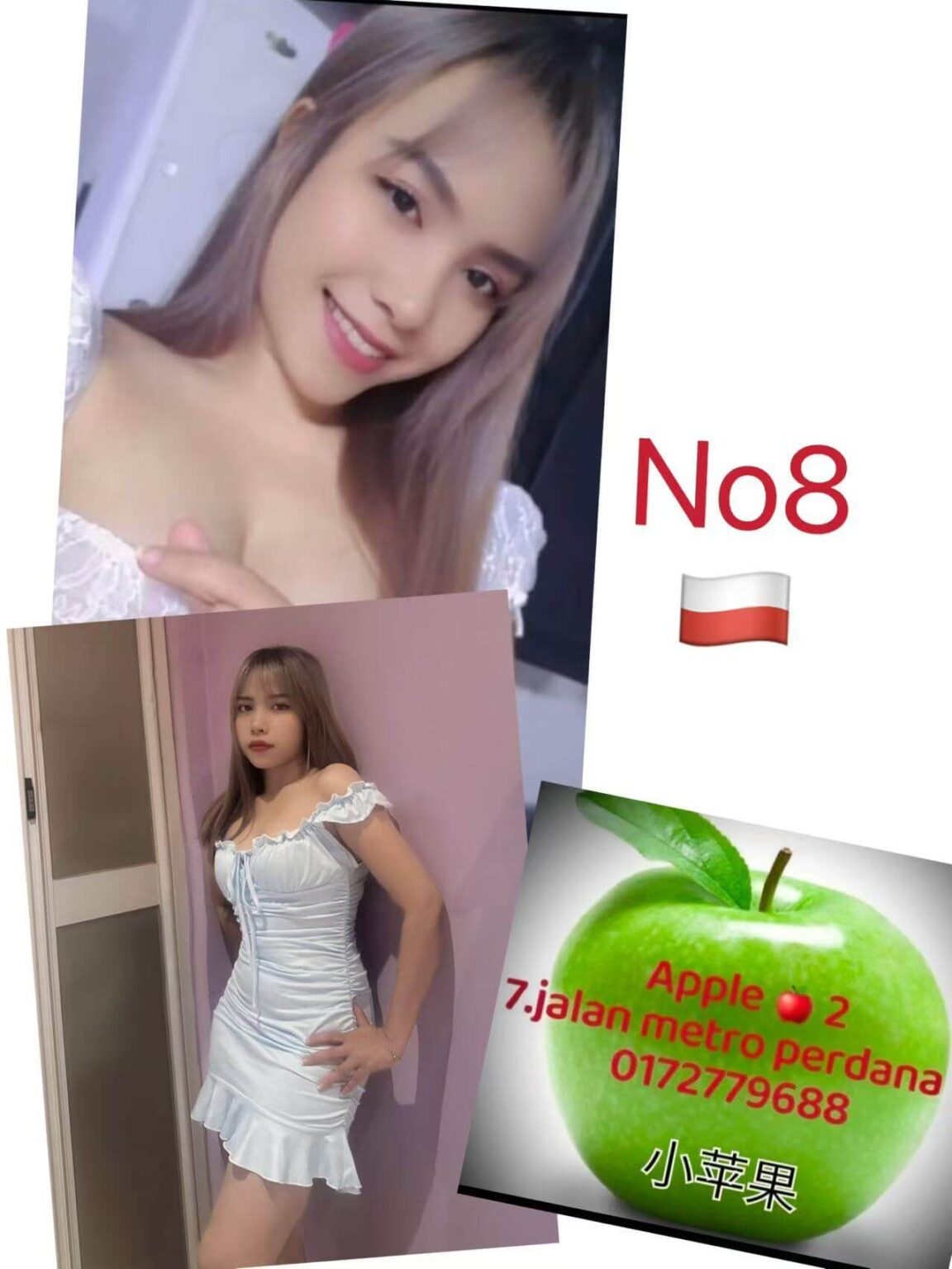 No 08
