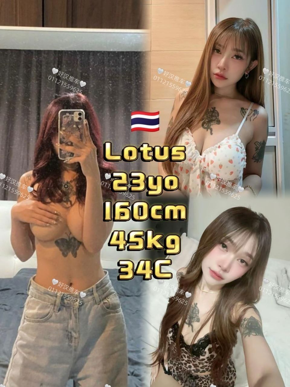 Lotus