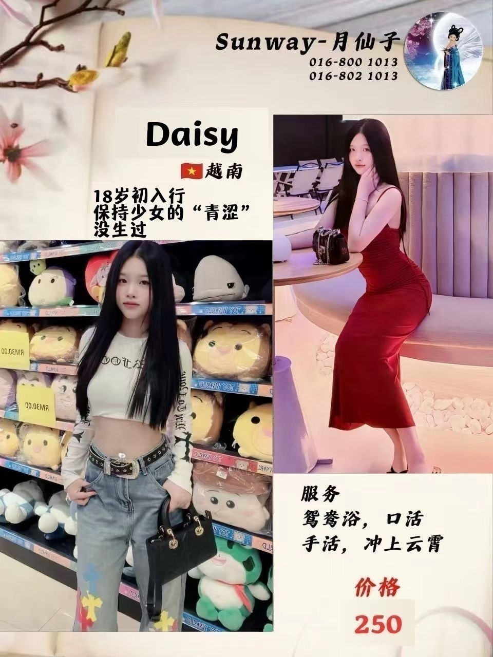 Daisy