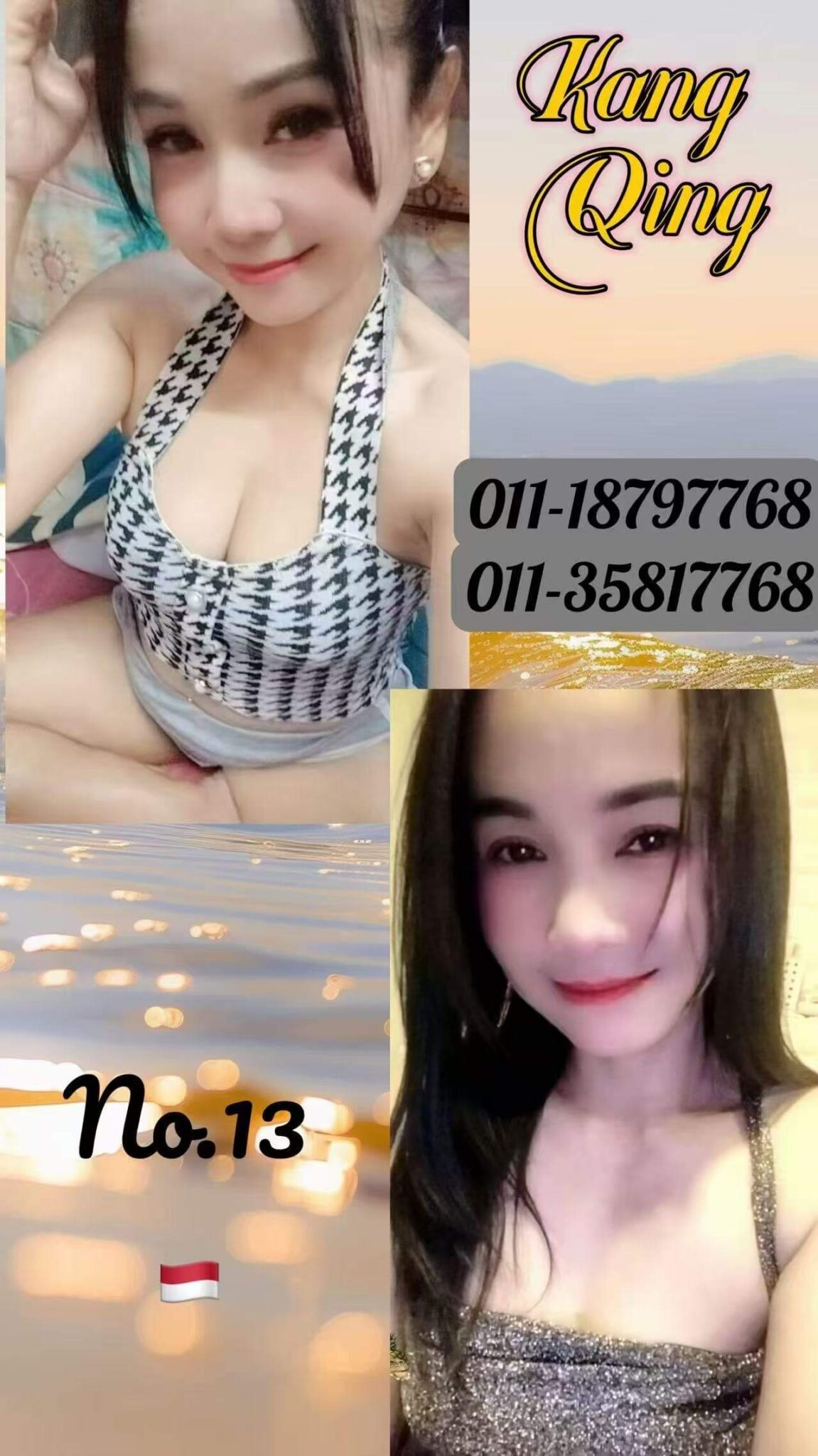 N13